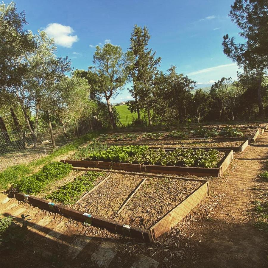 Agriturismo Pometti - La Selva Trequanda Esterno foto